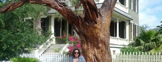 Galveston Tree Sculptures