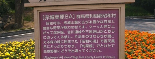 赤城高原SA (上り) is one of 関越自動車道 (KAN-ETSU EXPWY).