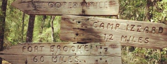 Fort Cooper State Park is one of Locais curtidos por Lizzie.