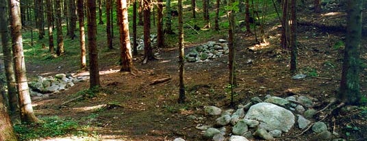 Pokaiņu mežs is one of Dižvietas.