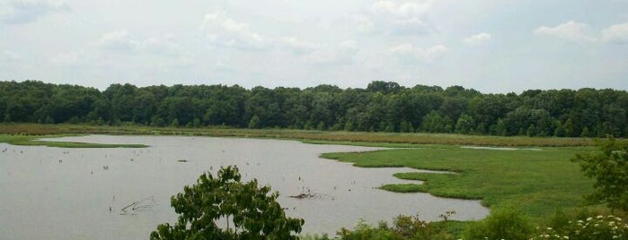 Huntley Meadows Park is one of Alexandria, VA.