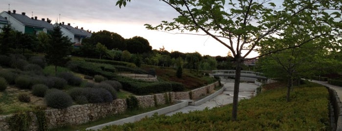 Parque de las Cárcavas is one of Alvaroさんのお気に入りスポット.