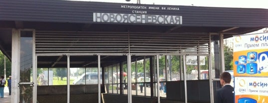Автовокзал новоясеневская. Смоленск орша маршрутка. Автостанция новоясенево москва. Новоясеневская орша. Битцевский парк новоясеневская.