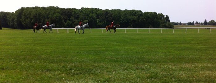 Fairhill Racetrack is one of Places.