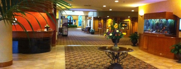 MCM Elegante Hotel is one of Tempat yang Disukai David.