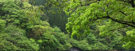 八木キャンプ場 is one of 静岡県のキャンプ場.