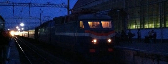 Kievsky Rail Terminal is one of Train Stations Visited.
