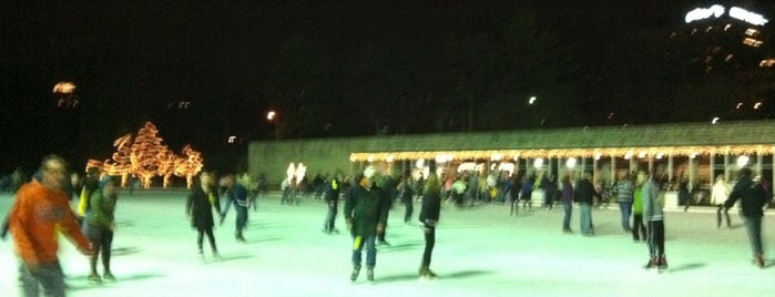 Steinberg Skating Rink is one of To do.