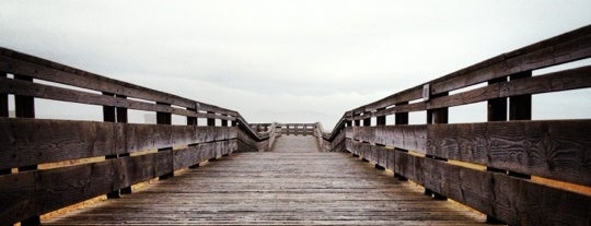 Longbeach Boardwalk is one of WA Coast Things- To- Do..