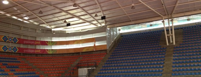 Complejo Panamericano de Voleibol is one of Estadios @ GDL.