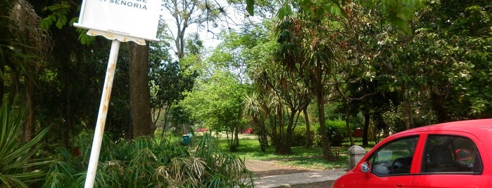 Parque de la Señoría is one of Top 10 favorites places in Xalapa, Veracruz..