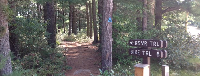 Reservoir Trail is one of Western Massachusetts.