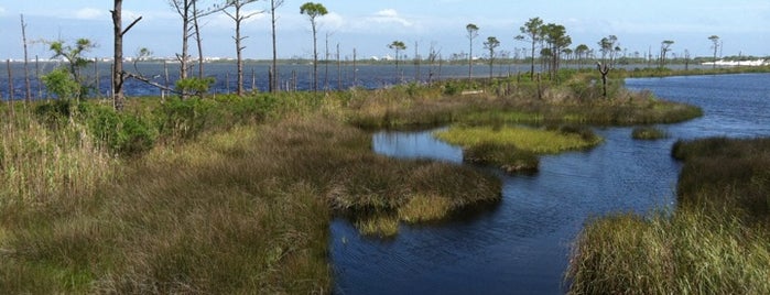 Bon Secour National Wildlife Refuge is one of Things To Do & Places To See -- Gulf Coast.