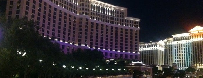 Bellagio Hotel & Casino is one of Best Places to Check out in United States Pt 3.