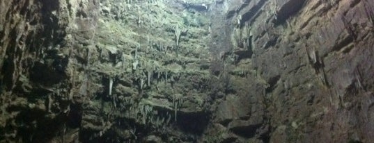 Castellana Caves is one of Puglia - Bari.