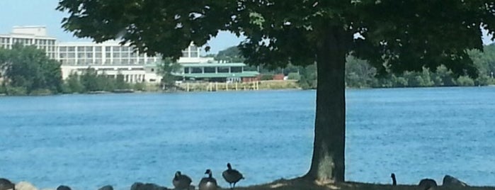 Niagara River Rock Wall is one of Out N About.