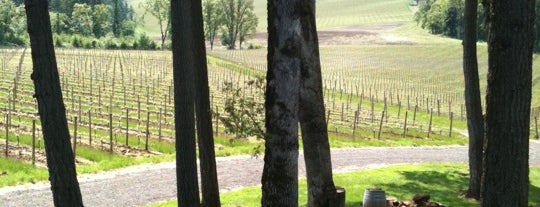 Vista Hills Vineyard & Winery is one of Dundee Hills AVA Wineries.