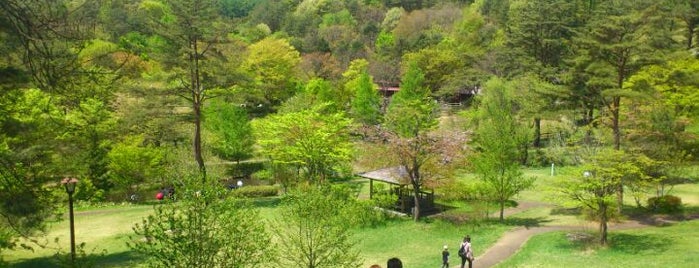 Morioka Zoo is one of 子どもと遊ぶ（岩手県）.