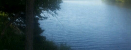Pocono Lake Preserve is one of 🖤💀🖤 LiivingD3adGirlさんのお気に入りスポット.