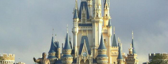 Tokyo Disney Resort is one of テーマパーク&フェスティバル.