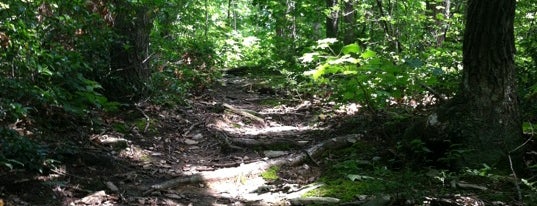 Apollo Park is one of Parks in York County (PA).