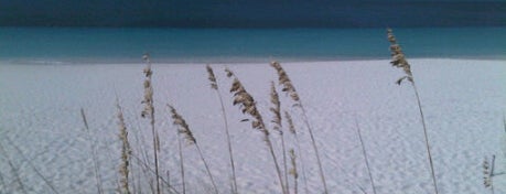 Turks & Caicos Club is one of Hannah's Saved Places.