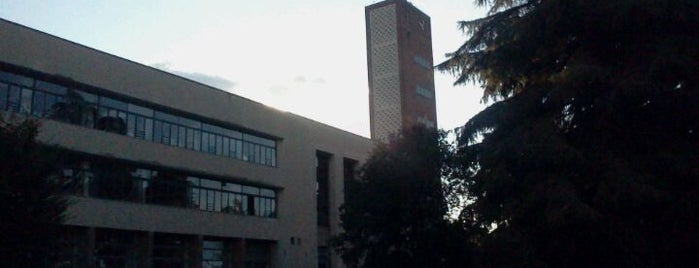 Facoltà di Ingegneria - Università di Bologna