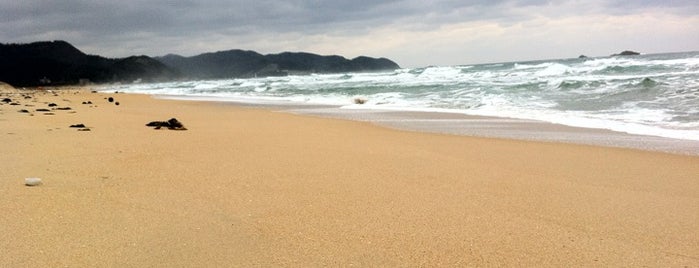 葛野浜海水浴場 is one of Beautiful Beach..