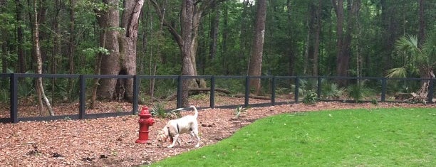 Carolina Bay Dog Park is one of Out & About.