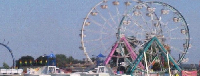 Maryland State Fairgrounds is one of The Essential Timonium and Cockeysville List.