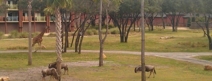 Kidani Village - Disney's Animal Kingdom Lodge is one of Animal Kingdom Resort Area.