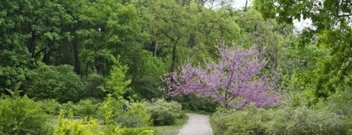 Ботанічний сад ім. О. Фоміна / O. Fomin Botanical Garden is one of Красивые места для Фотопрогулок.