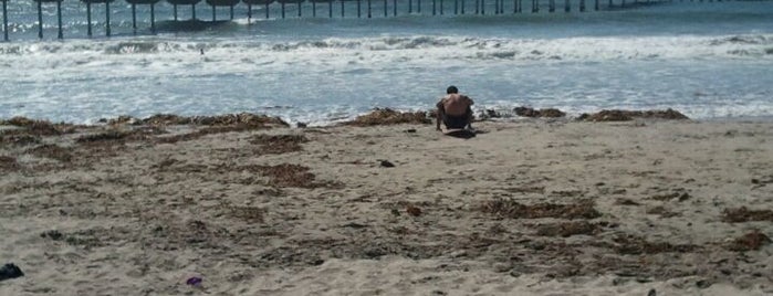 Ocean Beach is one of San Diego's Best Entertainment - 2012.