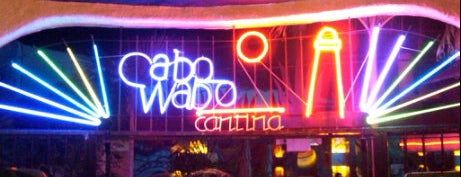 Cabo Wabo is one of 13 Cabo spots for the perfect girlfriend getaway..