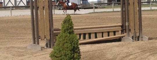 Andrews Osborne Academy Equestrian Center is one of Best places in Mentor, OH.