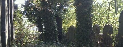 Židovský hřbitov is one of Kostely, kaple, synagogy, boží muka etc..