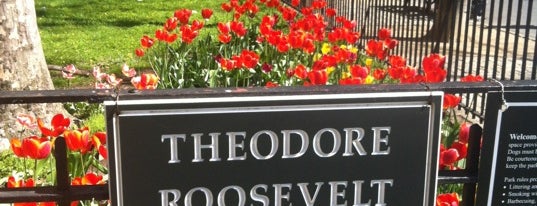 Theodore Roosevelt Park (Museum Park) is one of Locais curtidos por Keira.