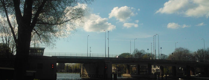 Albert Schweitzerbrug is one of Bridges in the Netherlands.