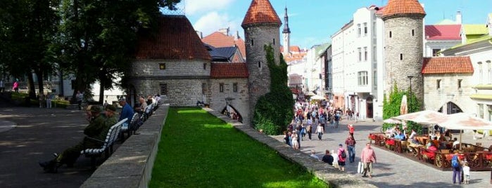Горка поцелуев is one of Tallinna.