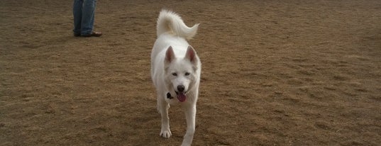 Wynetka Ponds Bark Park is one of Denver Dog Parks.