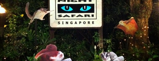 Night Safari is one of Guide to Singapore's best spots.