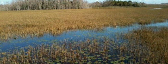 Grassy Waters Preserve is one of West Palm.