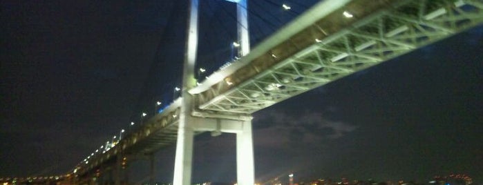 Yokohama Bay Bridge is one of 首都高速湾岸線(Bayshore Route).