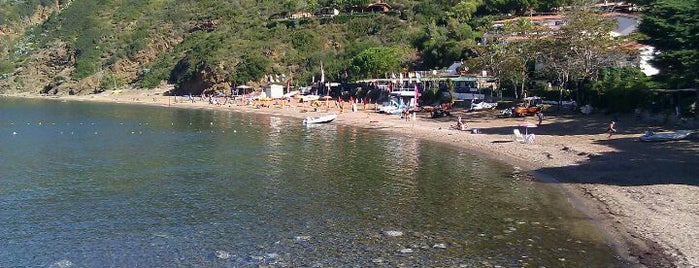 Spiagge di Capoliveri