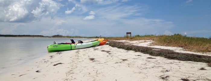 Caladesi Island State Park is one of Favorite Great Outdoors.