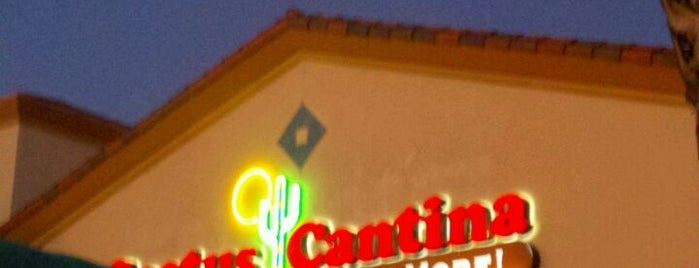 Cactus Cantina is one of The 15 Best Places with Daily Specials in Riverside.