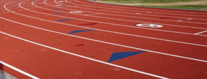 Rock Norman Track & Field Complex is one of Clemson Athletics Venues.