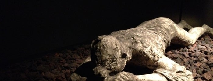 Pompeii Exhibit @ MOS is one of Brett : понравившиеся места.