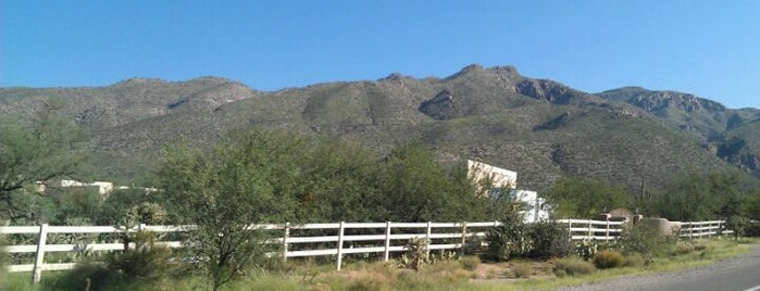 Mount Lemmon is one of Top 10 favorites places in Tucson, AZ.