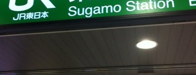 JR Sugamo Station is one of 山手線 Yamanote Line.